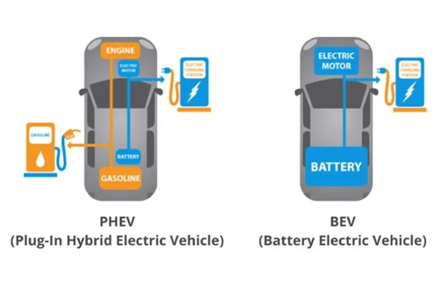 Hybrid vs Electric 